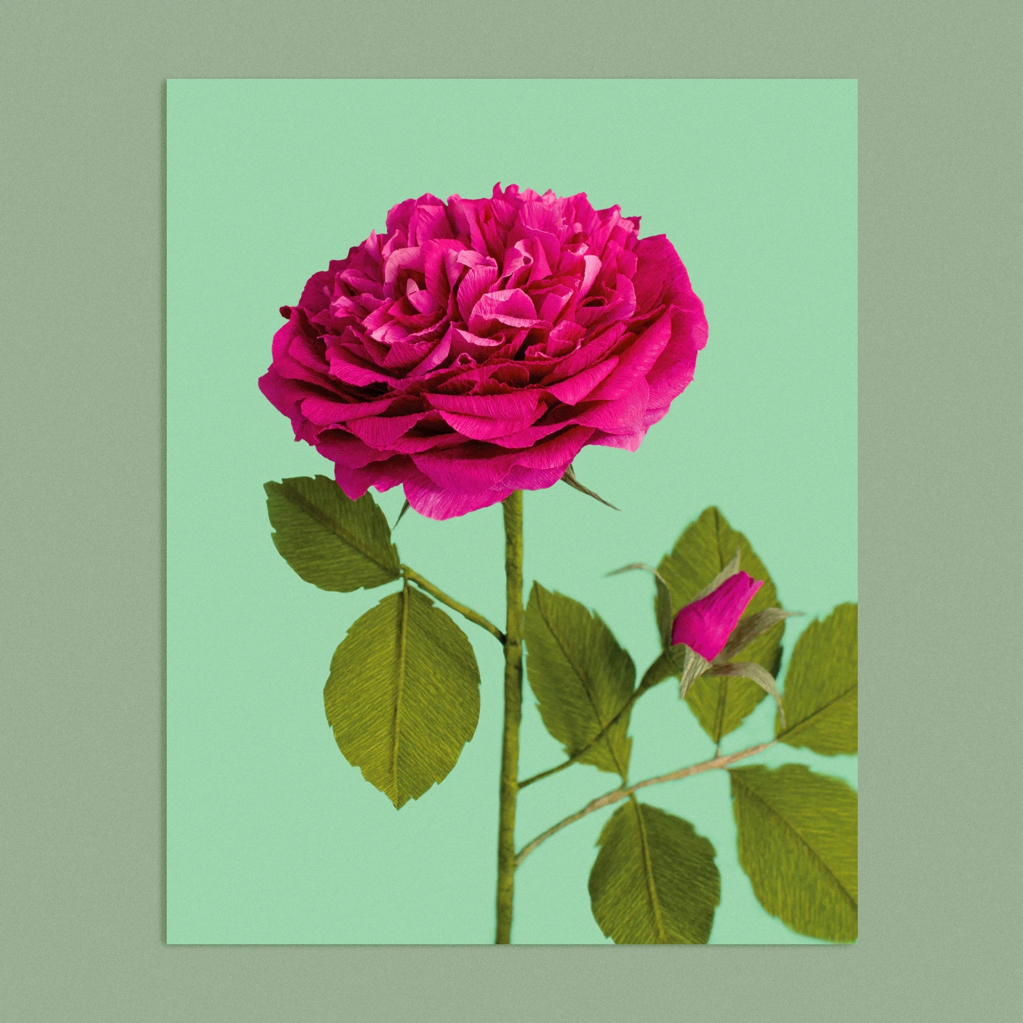 Art print with a image of a handcrafted paper hot pink shrub rose on a green background colour by paper artist Daphne Fitch.