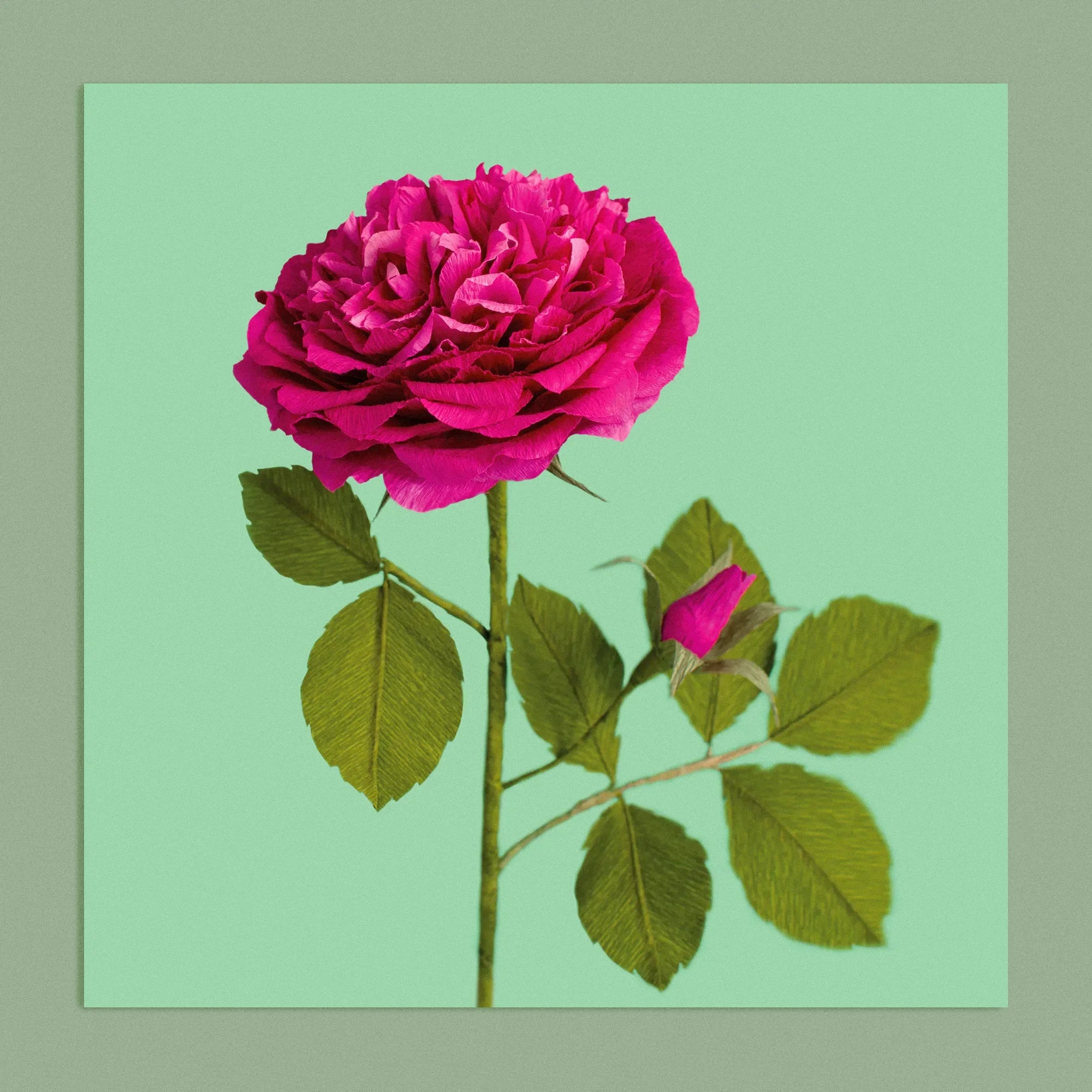 Art print with a image of a handcrafted paper hot pink shrub rose on a green background colour by paper artist Daphne Fitch.