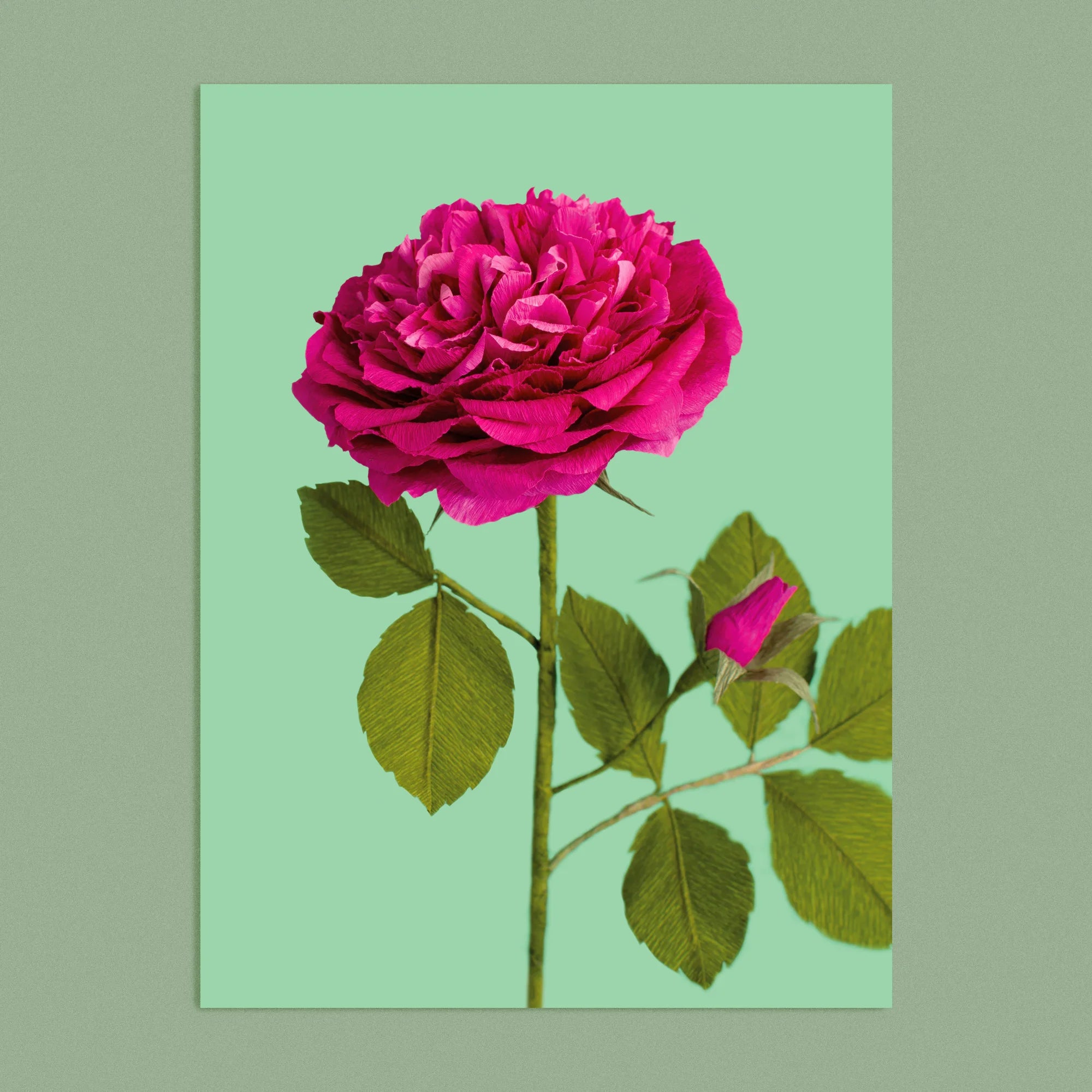 Art print with a image of a handcrafted paper hot pink shrub rose on a green background colour by paper artist Daphne Fitch.