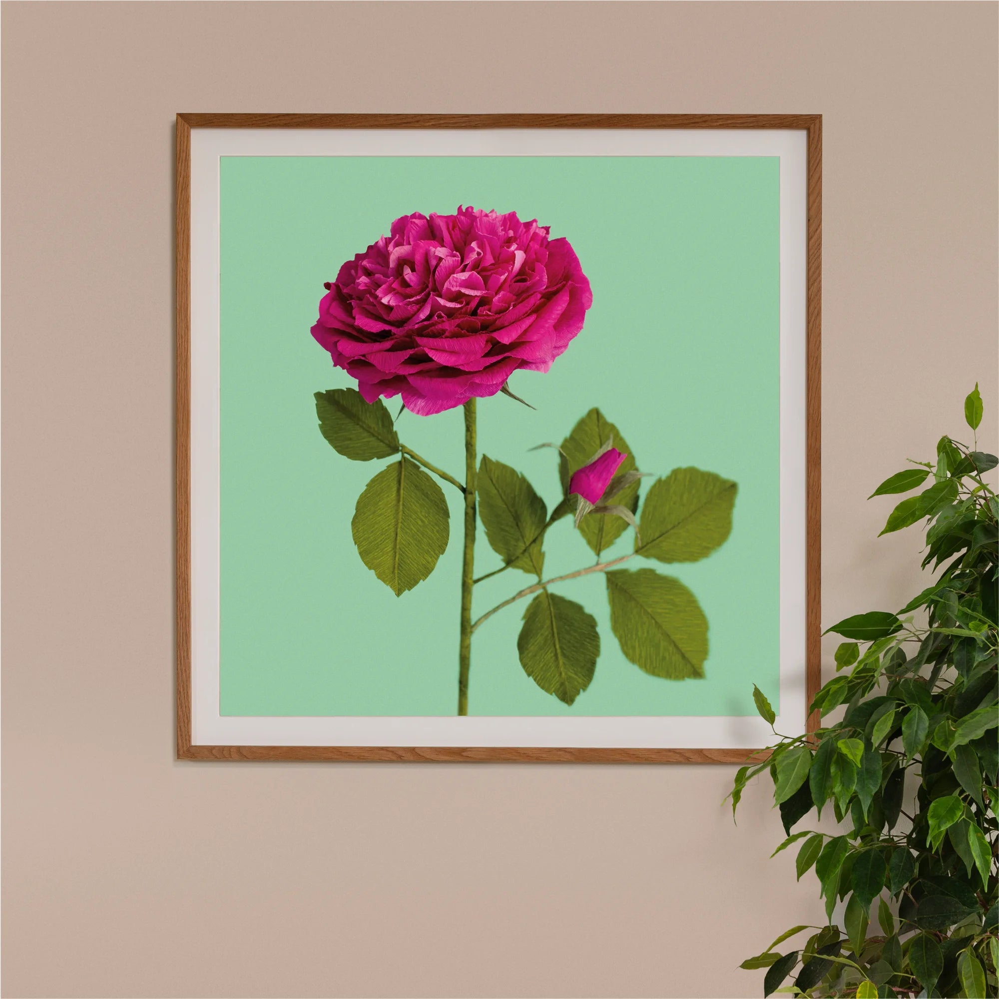 Image of framed art print on a wall, featuring handcrafted paper hot pink rose shrub on a green background. Created by paper artist Daphne Fitch.