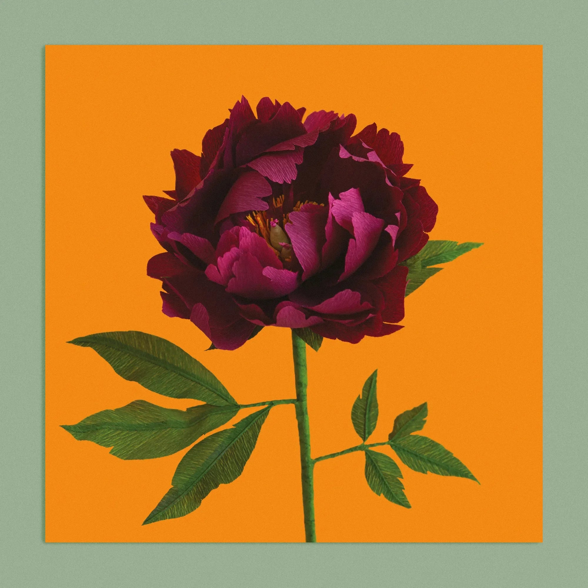 Art print with a image of a handcrafted paper garnet red peony on a marigold background colour by paper artist Daphne Fitch.
