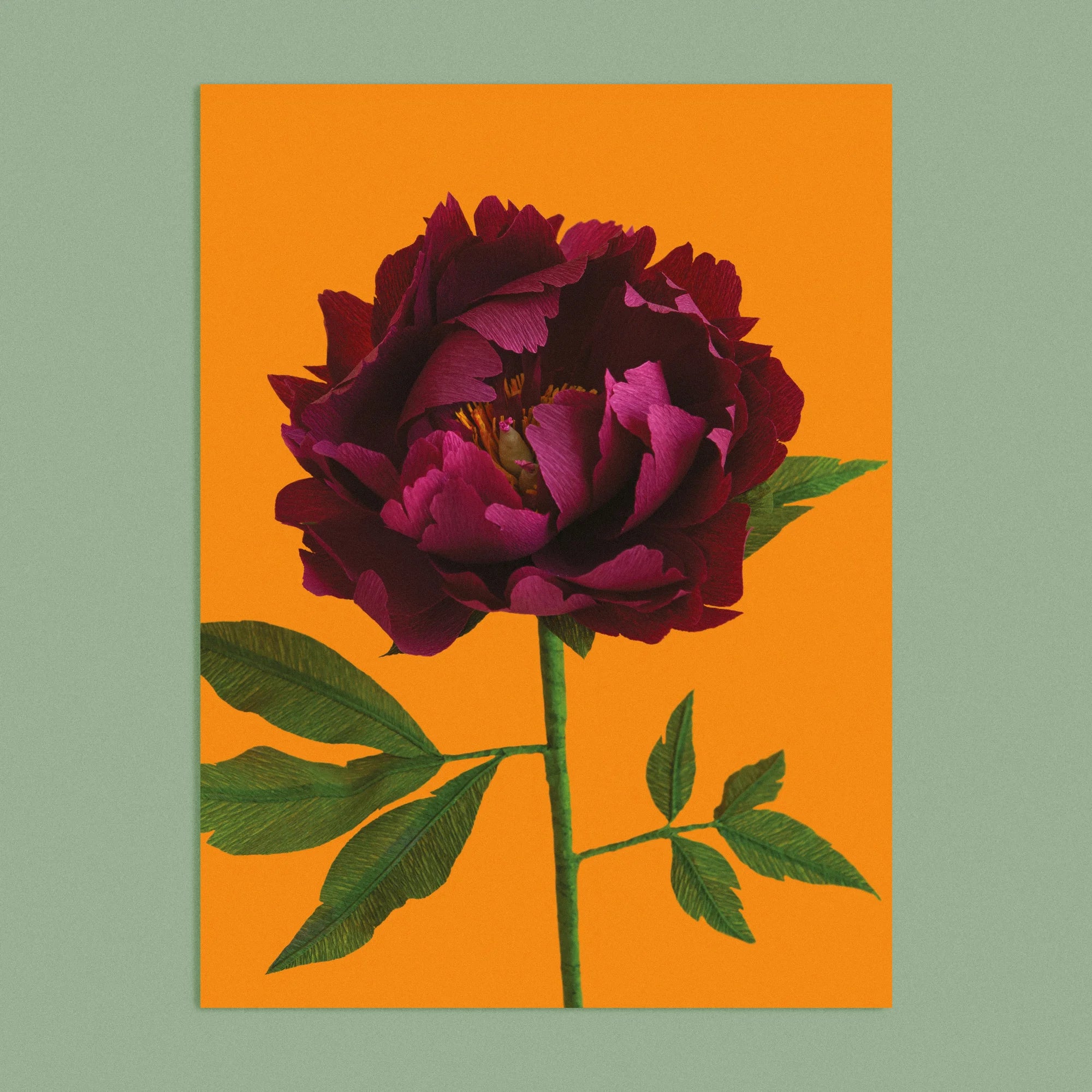 Art print with a image of a handcrafted paper garnet red peony on a marigold background colour by paper artist Daphne Fitch.