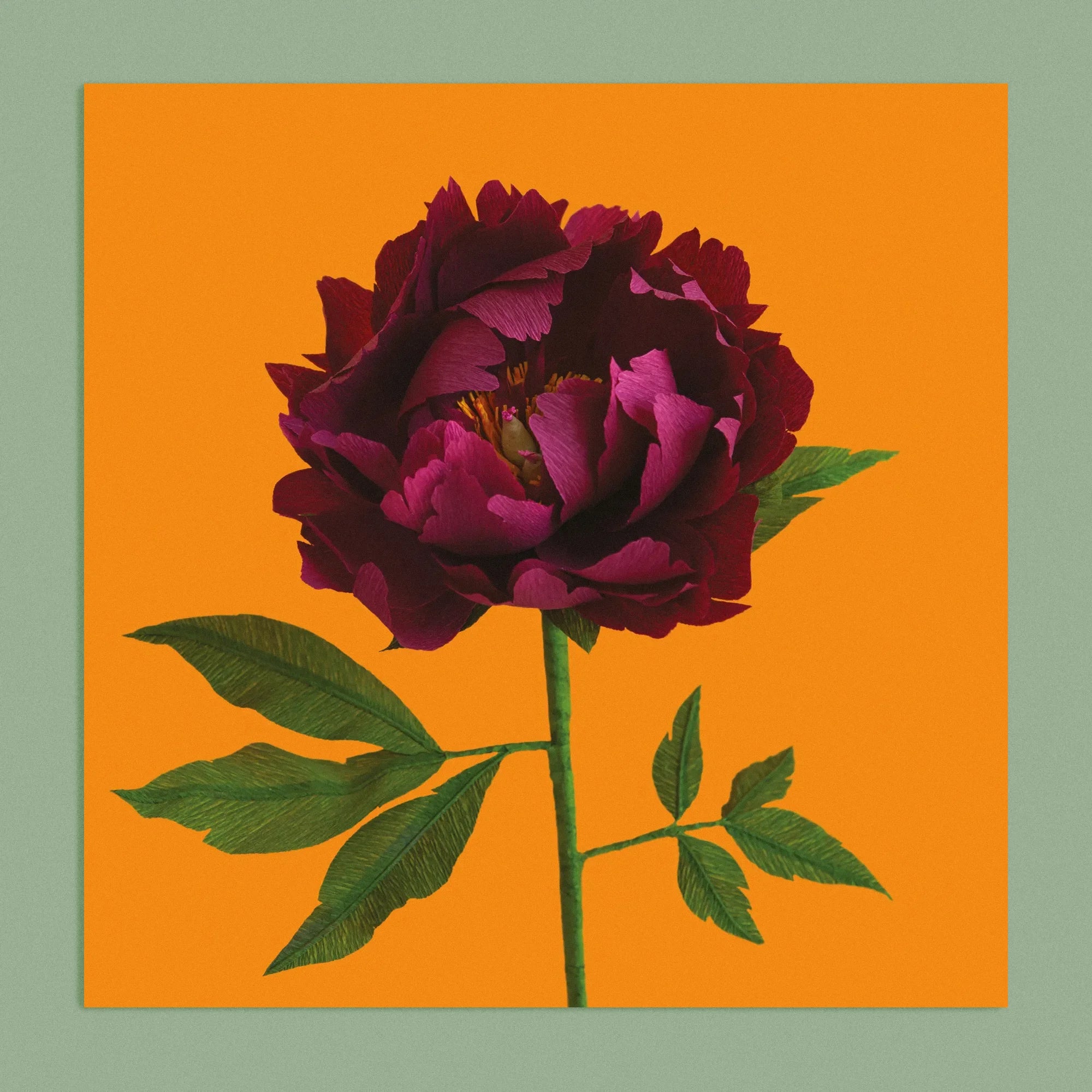 Art print with a image of a handcrafted paper garnet red peony on a marigold background colour by paper artist Daphne Fitch.