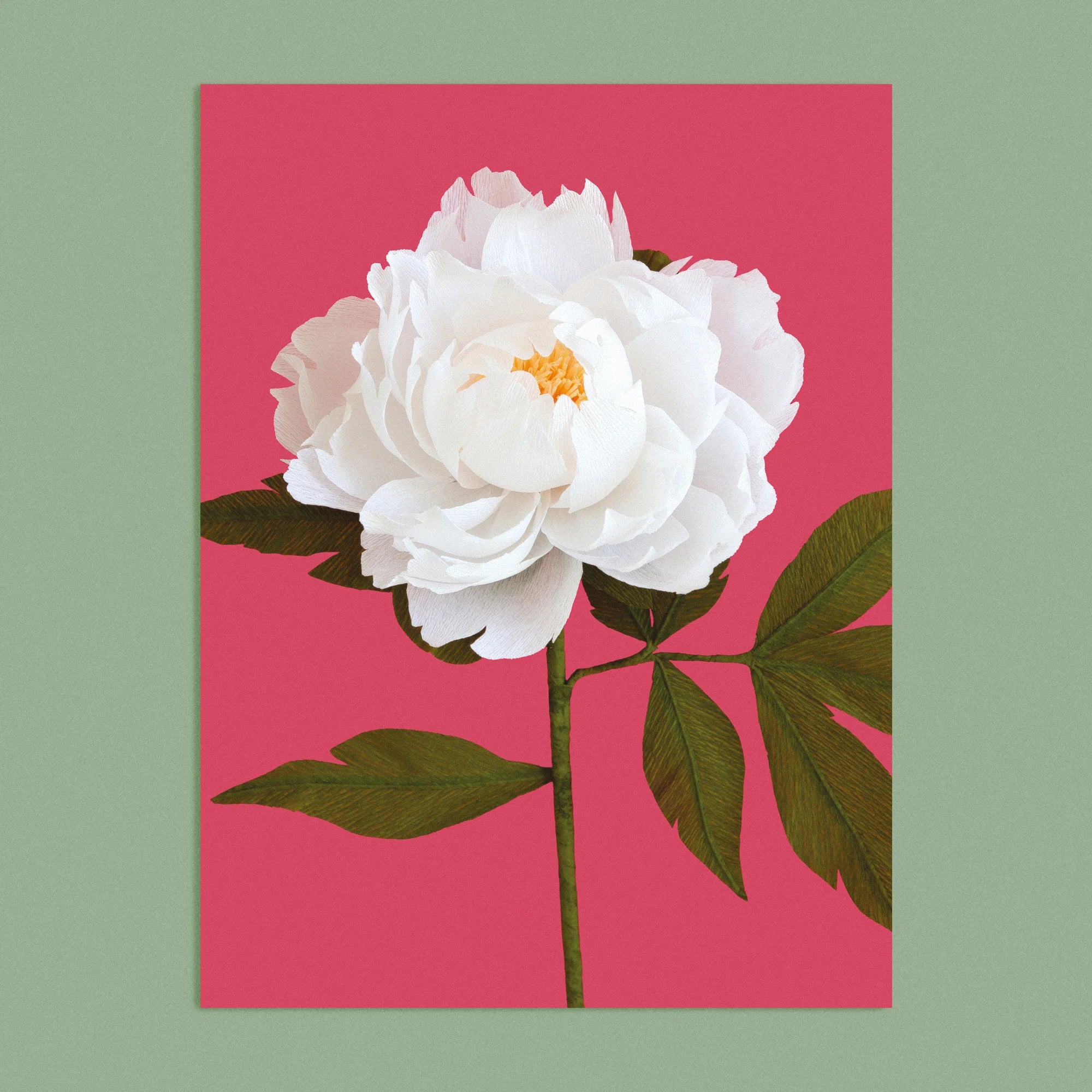 Art print with a image of a handcrafted paper white peony on a red background colour by paper artist Daphne Fitch.