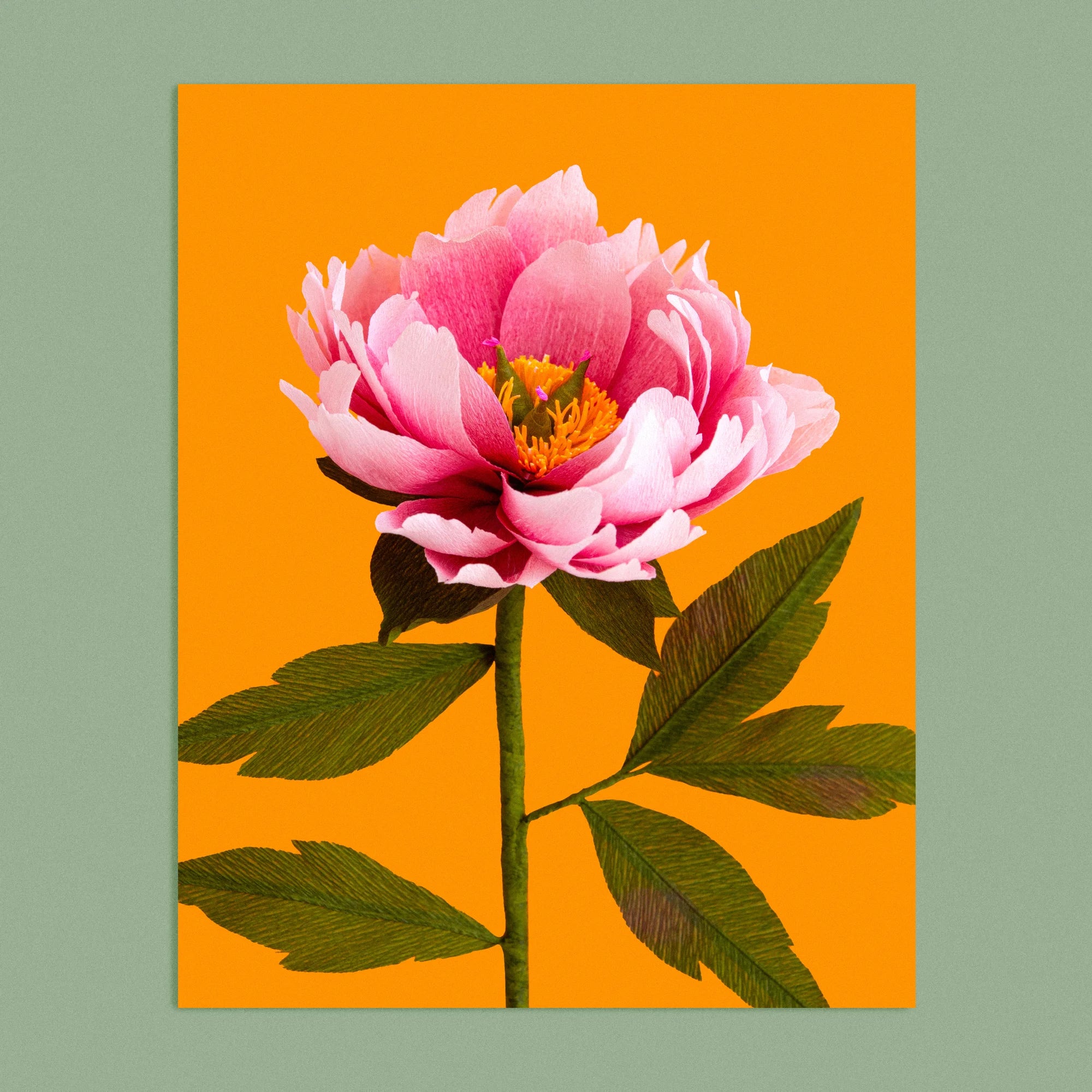 Art print with a image of a handcrafted paper pink peony on a marigold background colour by paper artist Daphne Fitch.