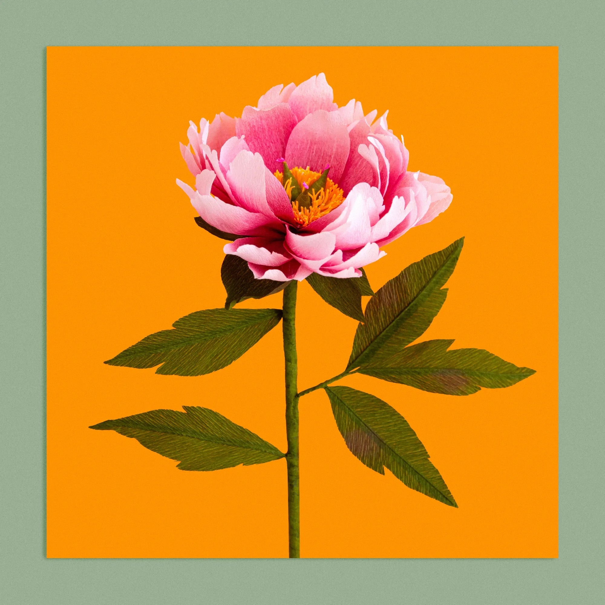 Art print with a image of a handcrafted paper pink peony on a marigold background colour by paper artist Daphne Fitch.