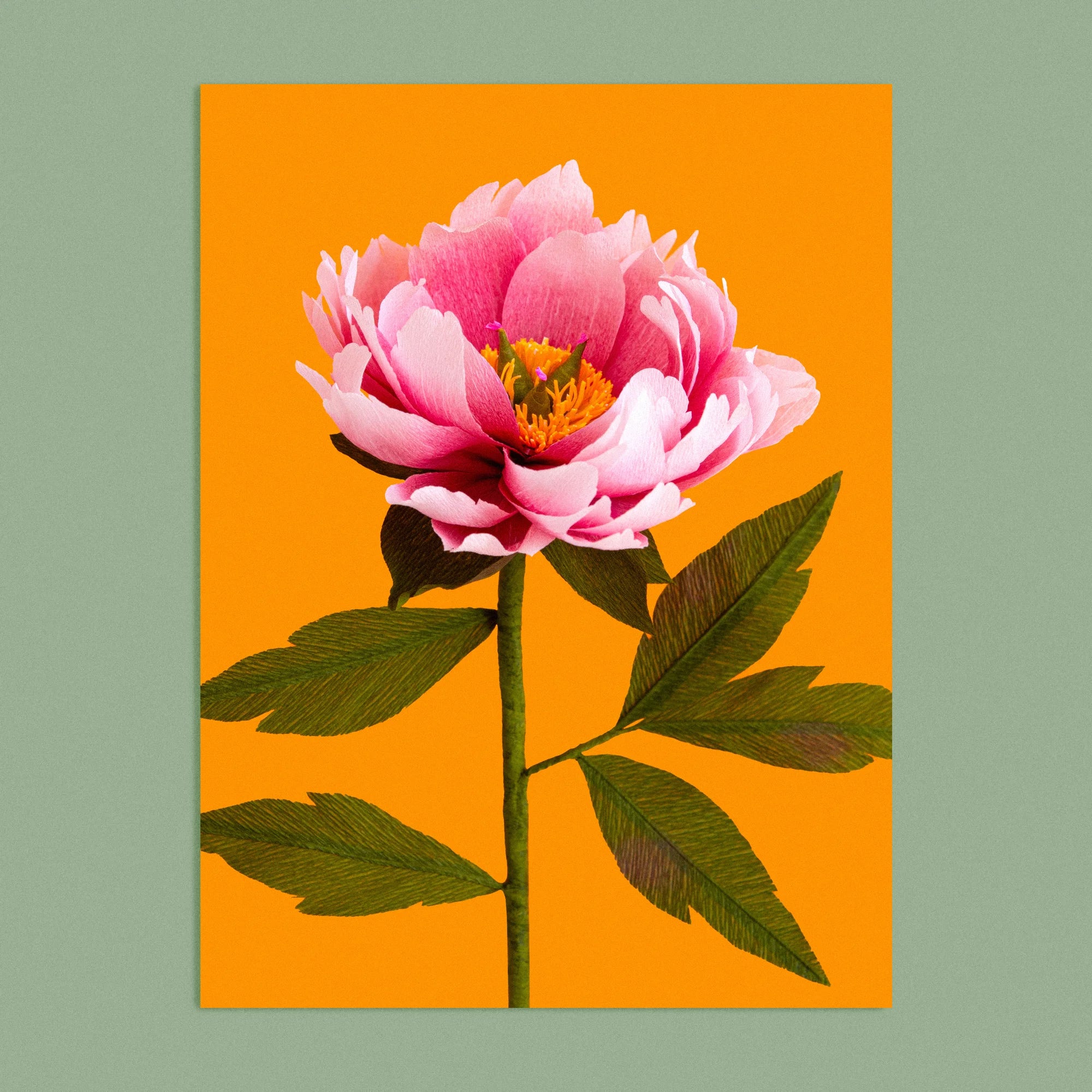 Art print with a image of a handcrafted paper pink peony on a marigold background colour by paper artist Daphne Fitch.