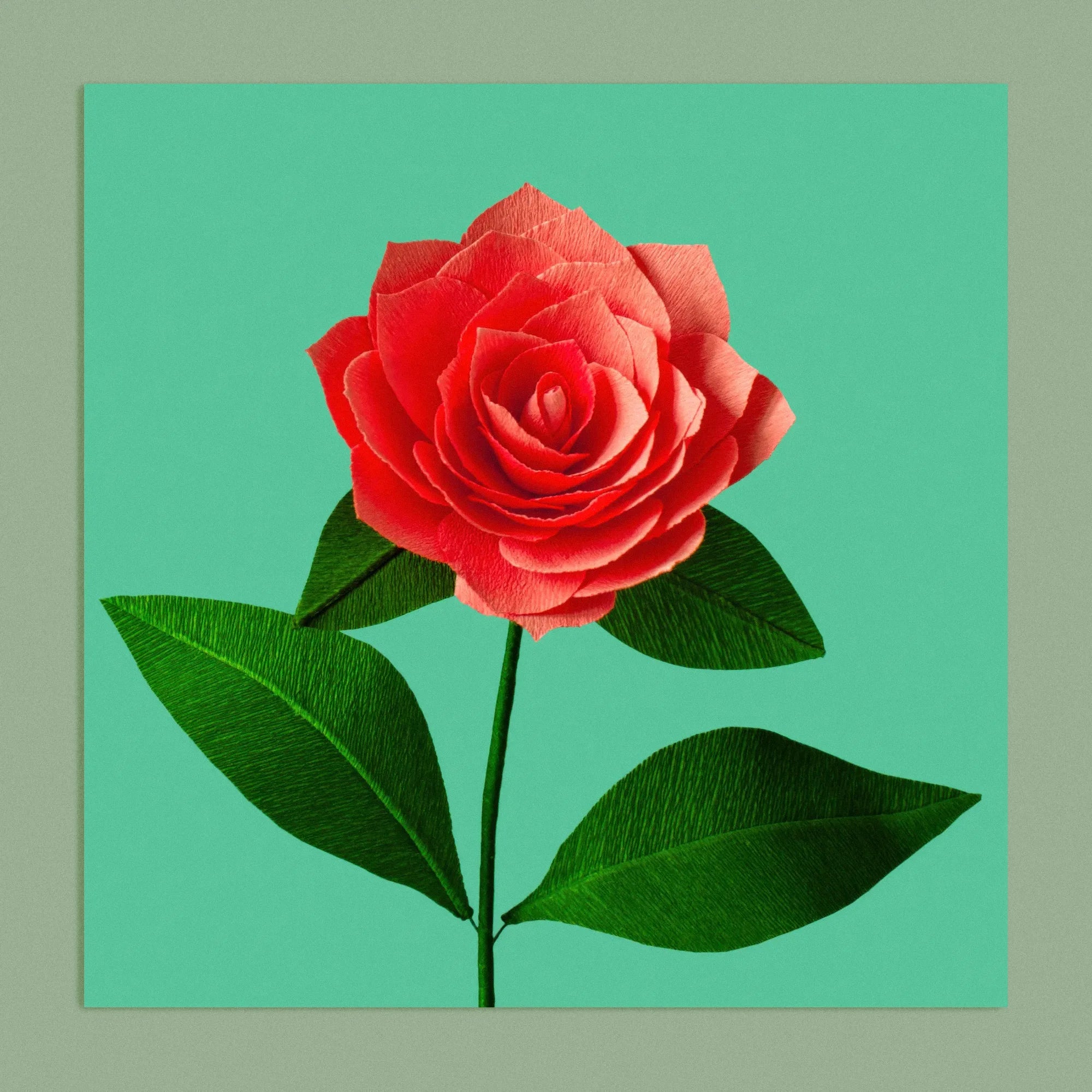 Art print with a image of a handcrafted paper coral camellia on a green background colour by paper artist Daphne Fitch.