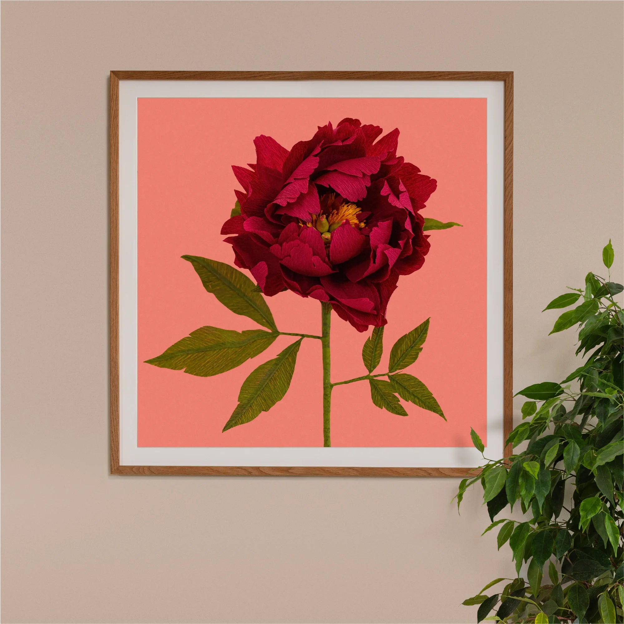 Image of framed art print on a wall, featuring handcrafted paper garnet red peony on a coral background. Created by paper artist Daphne Fitch.