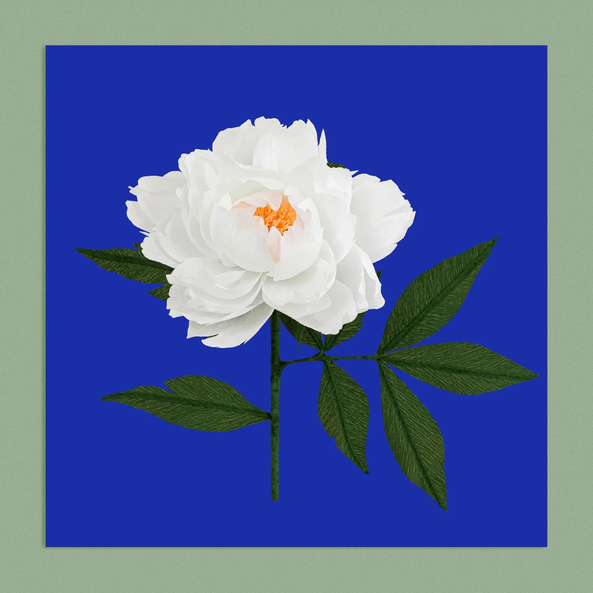 Art print with a image of a handcrafted paper white peony on a blue background colour by paper artist Daphne Fitch.