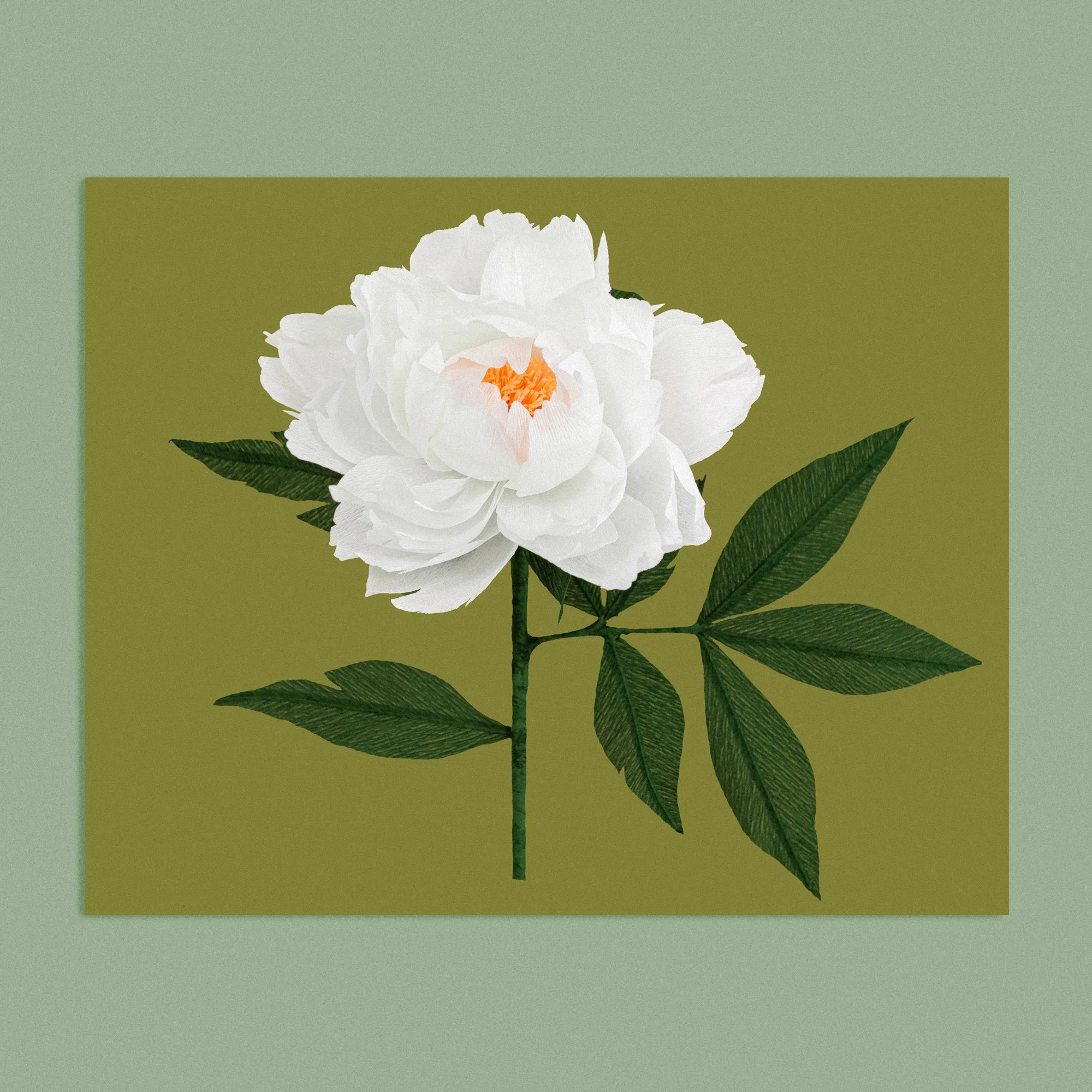 Art print with a image of a handcrafted paper White Peony on a khaki green background colour by paper artist Daphne Fitch.