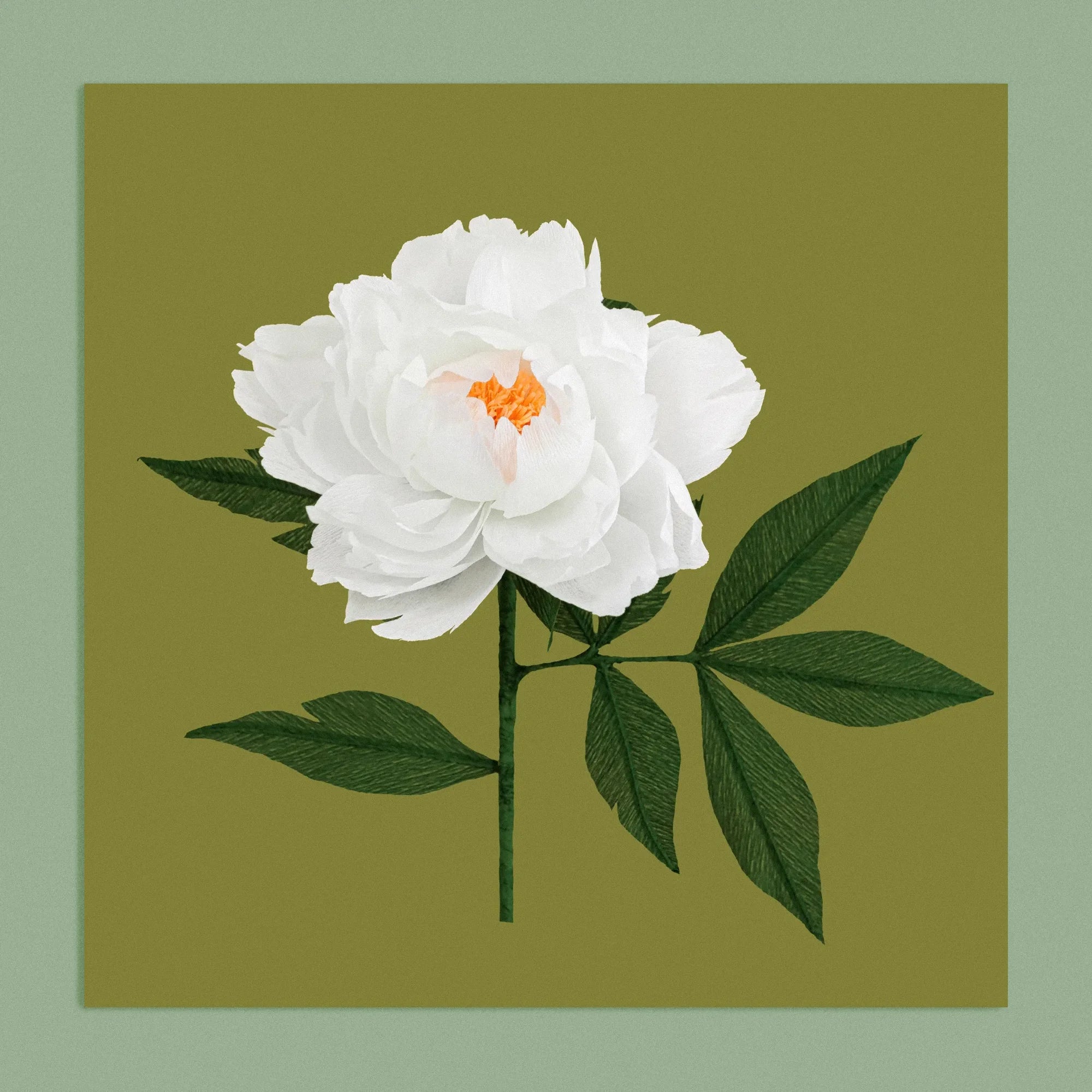 Art print with a image of a handcrafted paper white peony on a khaki green background colour by paper artist Daphne Fitch.