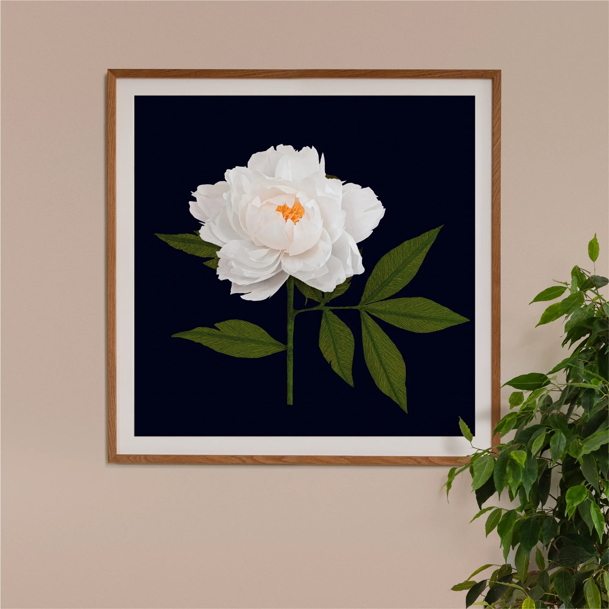 Image of framed art print on a wall, featuring handcrafted paper white camellia on a black background. Created by paper artist Daphne Fitch.