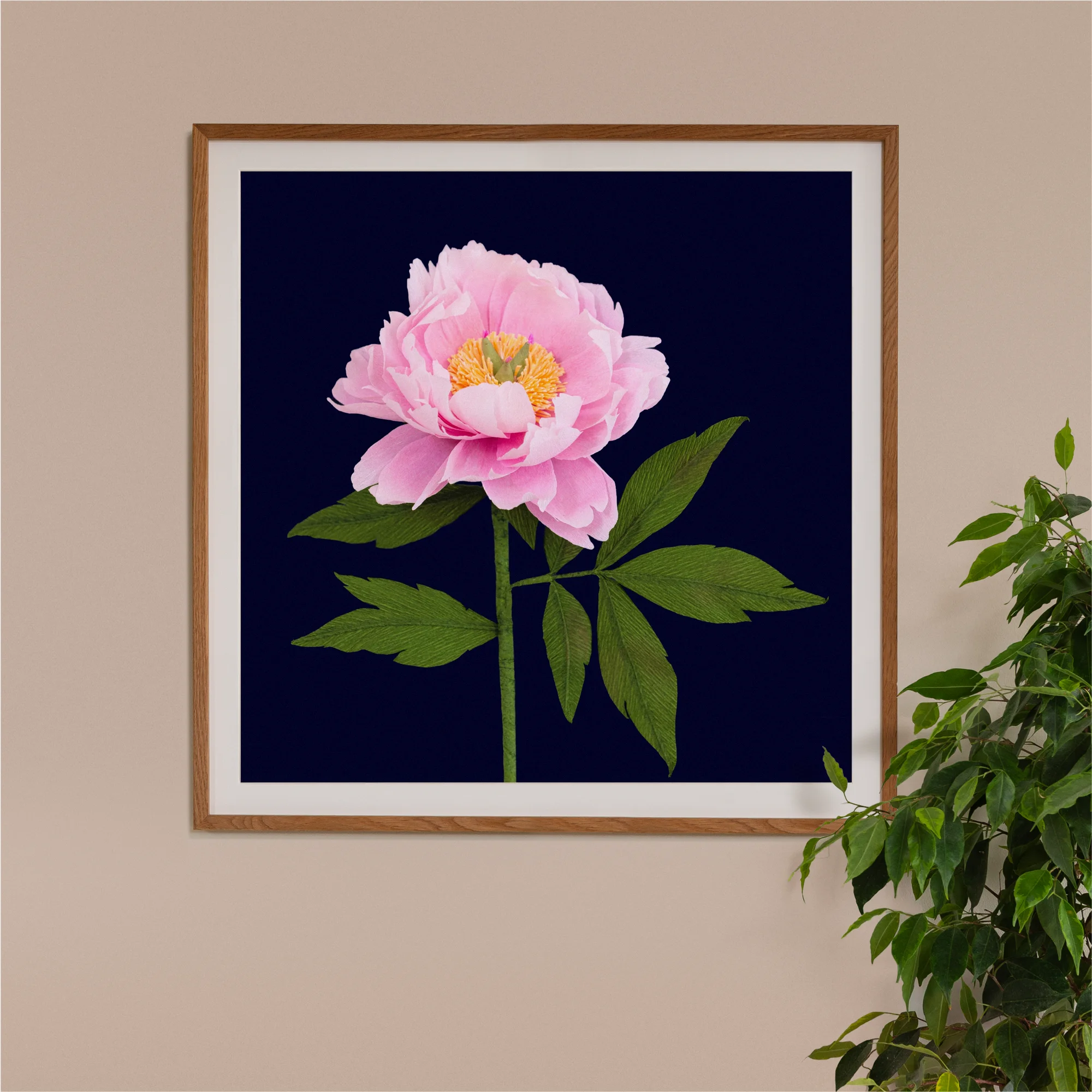 Image of framed art print on a wall, featuring handcrafted paper pink peony on a dark blue background. Created by paper artist Daphne Fitch.