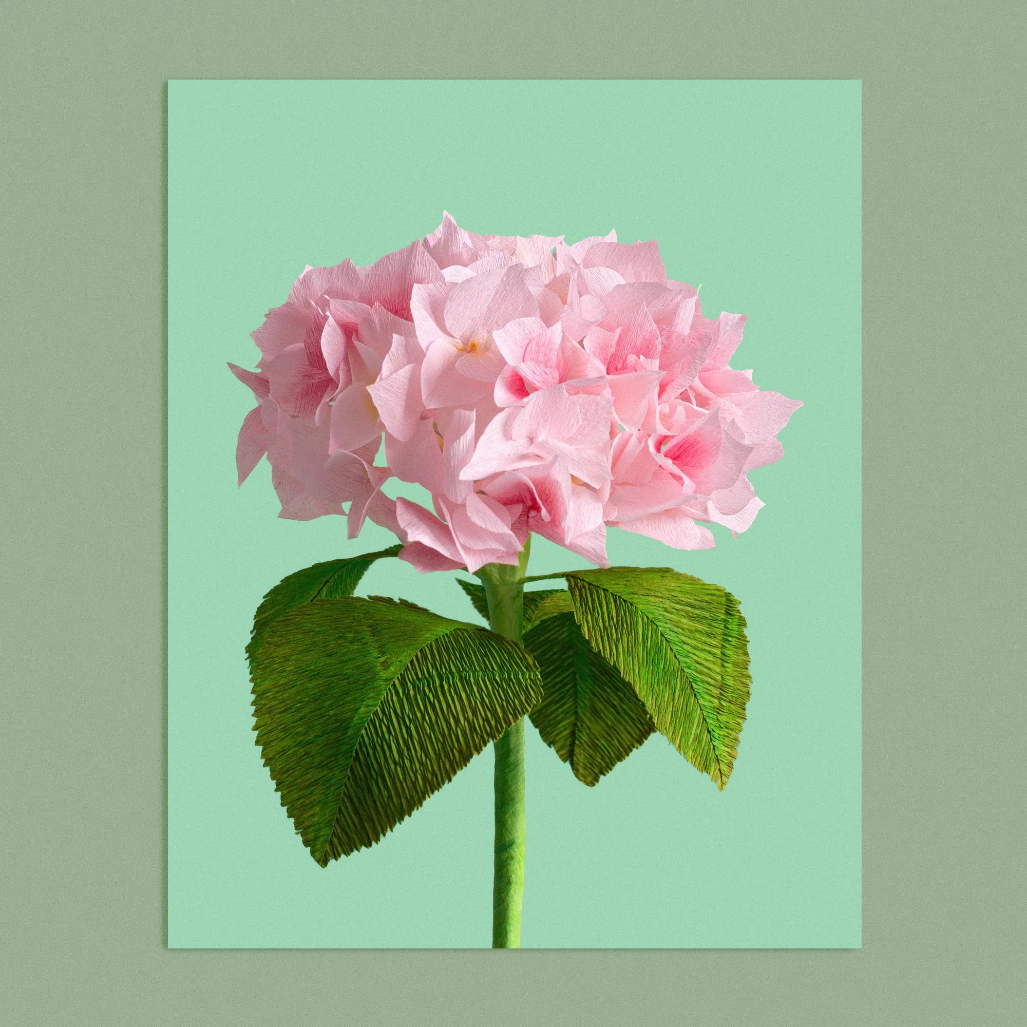 Art print with a image of a handcrafted paper pink hydrangea on a green background colour by paper artist Daphne Fitch.
