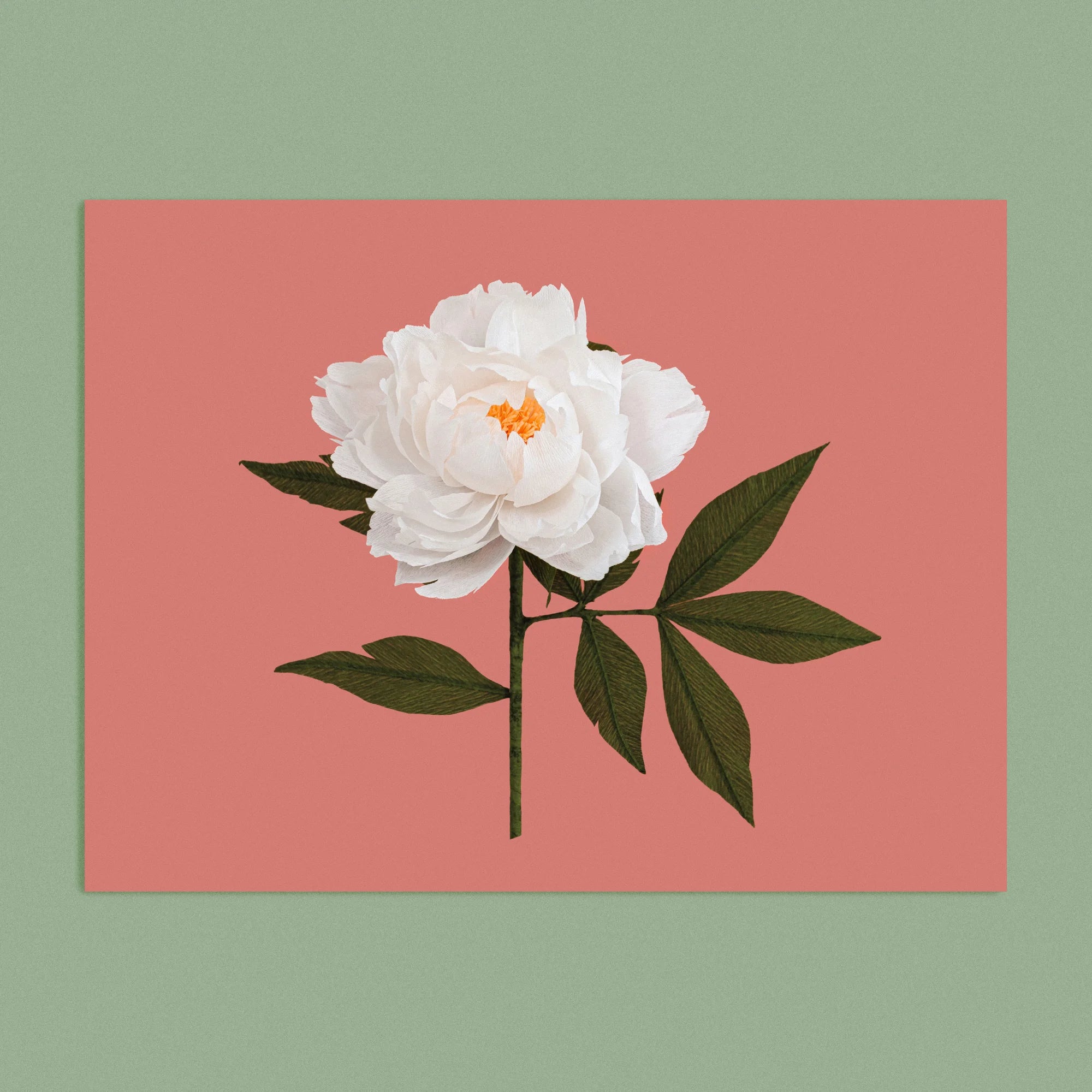 Art print with a image of a handcrafted paper white peony on a coral background colour by paper artist Daphne Fitch.