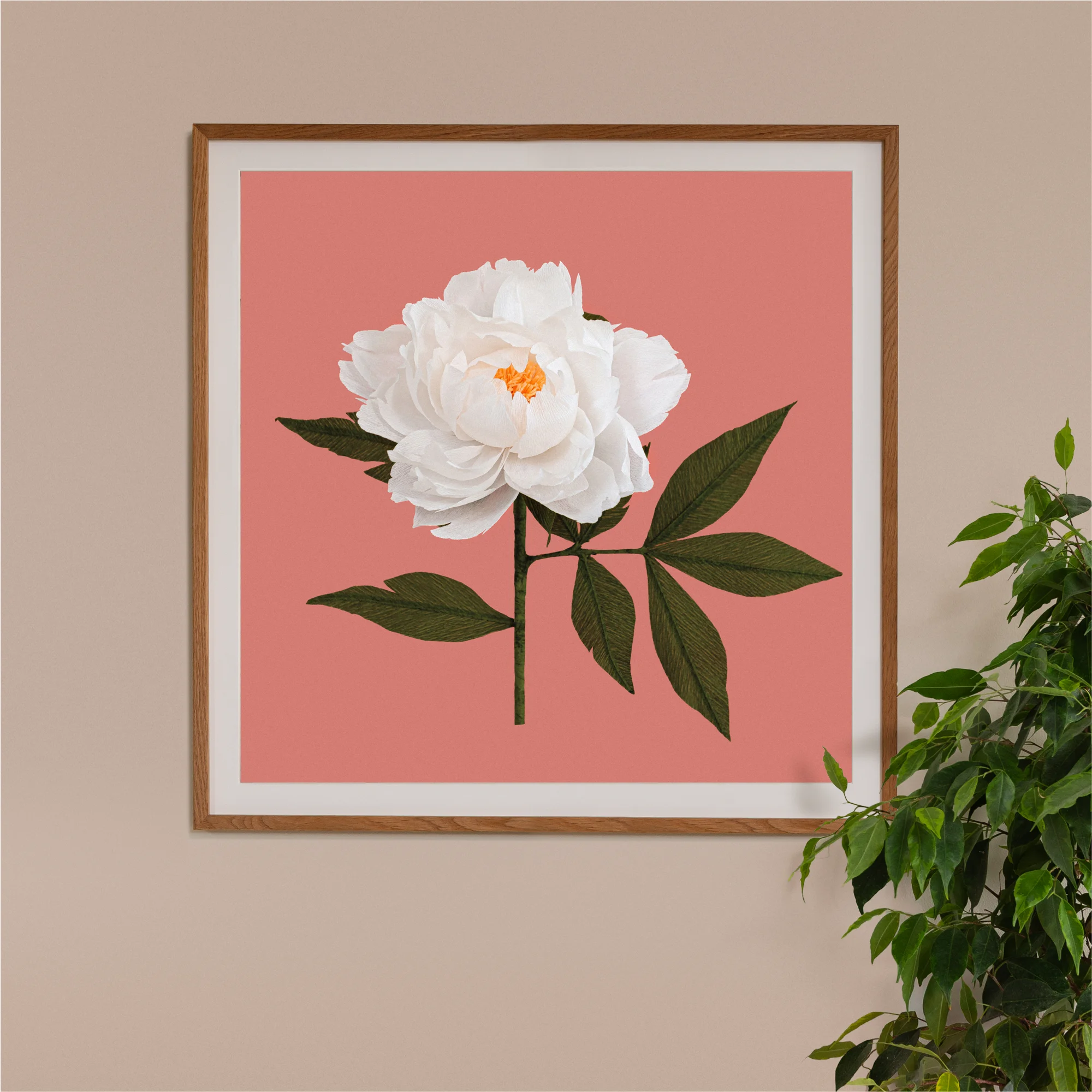 Art print with a image of a handcrafted paper white peony on a coral background colour by paper artist Daphne Fitch.