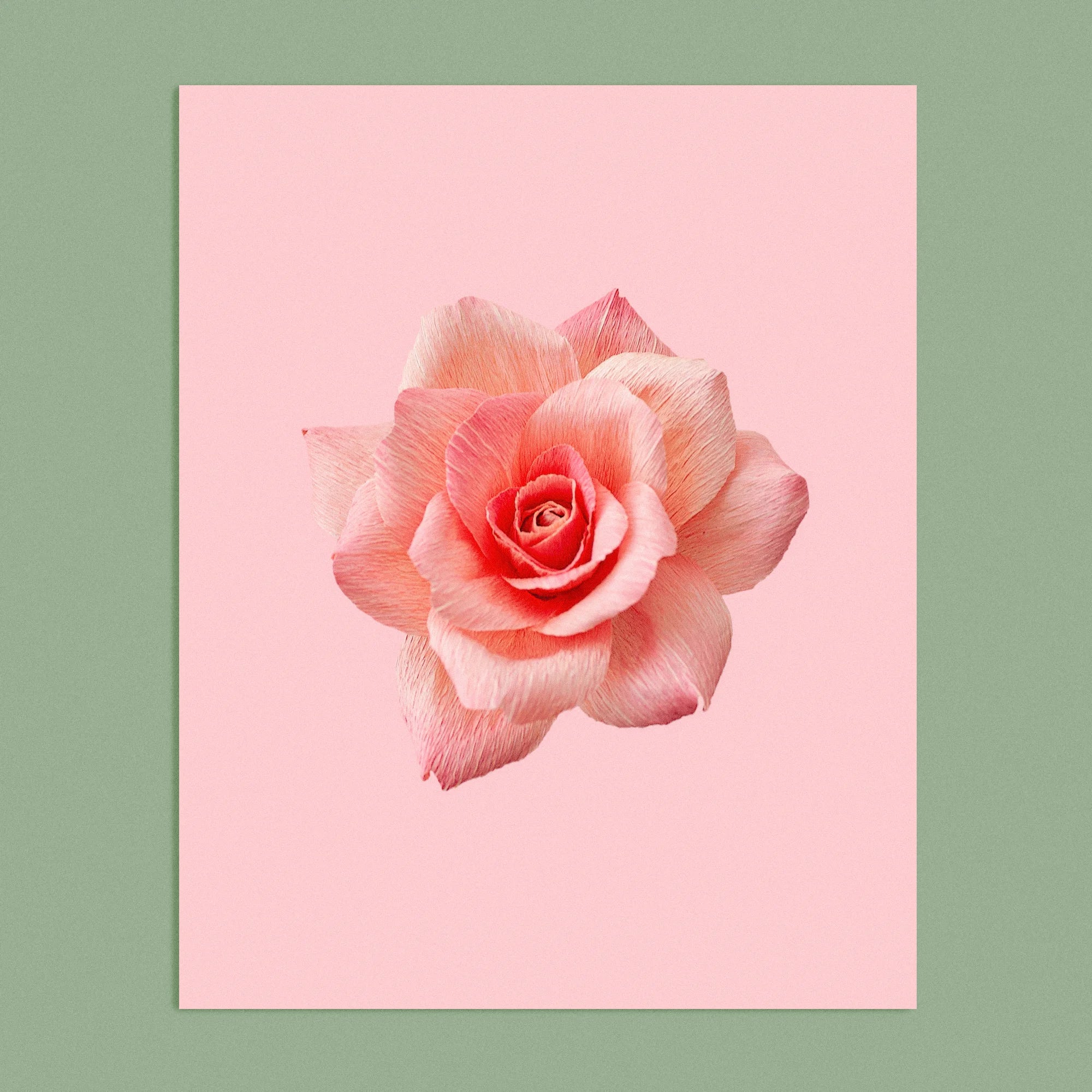 Art print with a image of a handcrafted paper pink rose on a soft pink background colour by paper artist Daphne Fitch.
