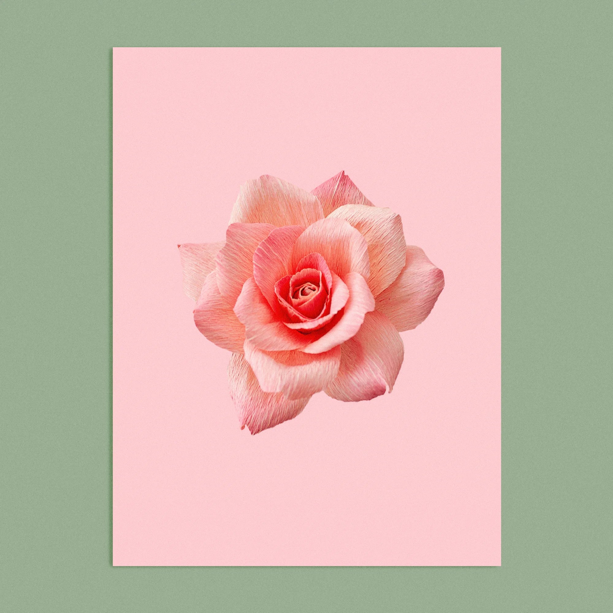 Art print with a image of a handcrafted paper pink rose on a soft pink background colour by paper artist Daphne Fitch.
