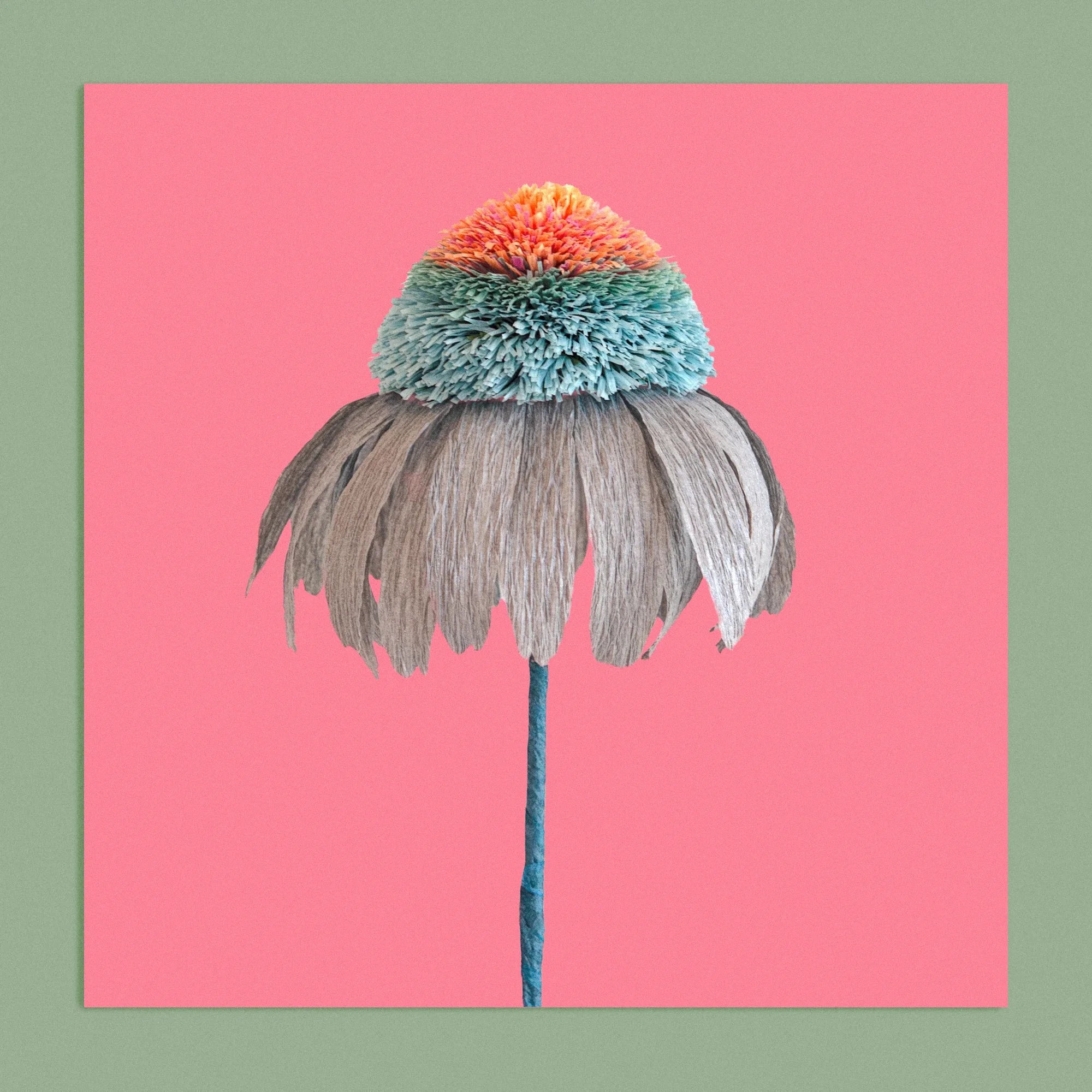 Art print with a image of a handcrafted paper blue and orange echinacea on a bright pink background colour by paper artist Daphne Fitch.