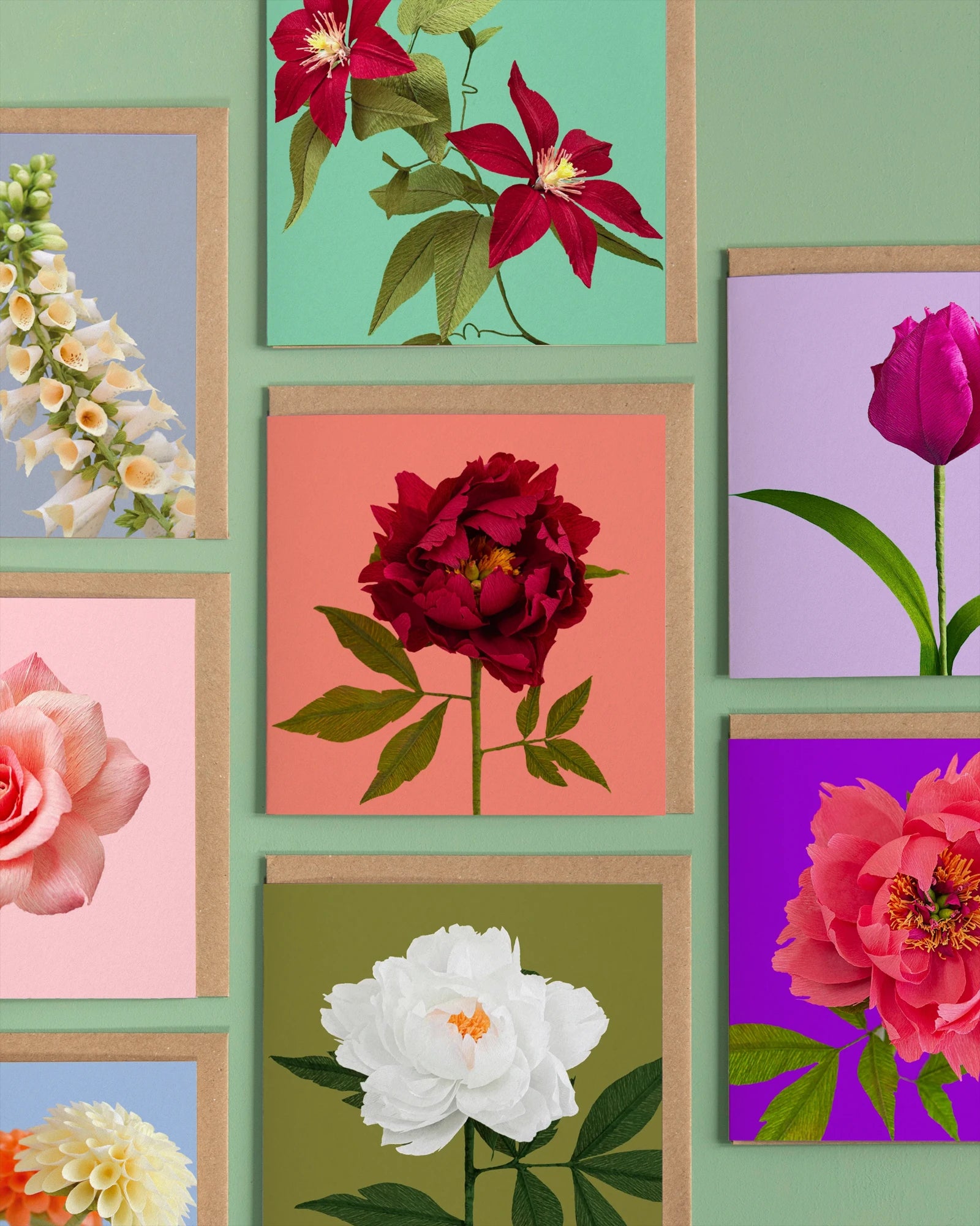A image of a set of greeting cards, with an assortment of colourful handcrafted paper flowers by paper artist Daphne Fitch.