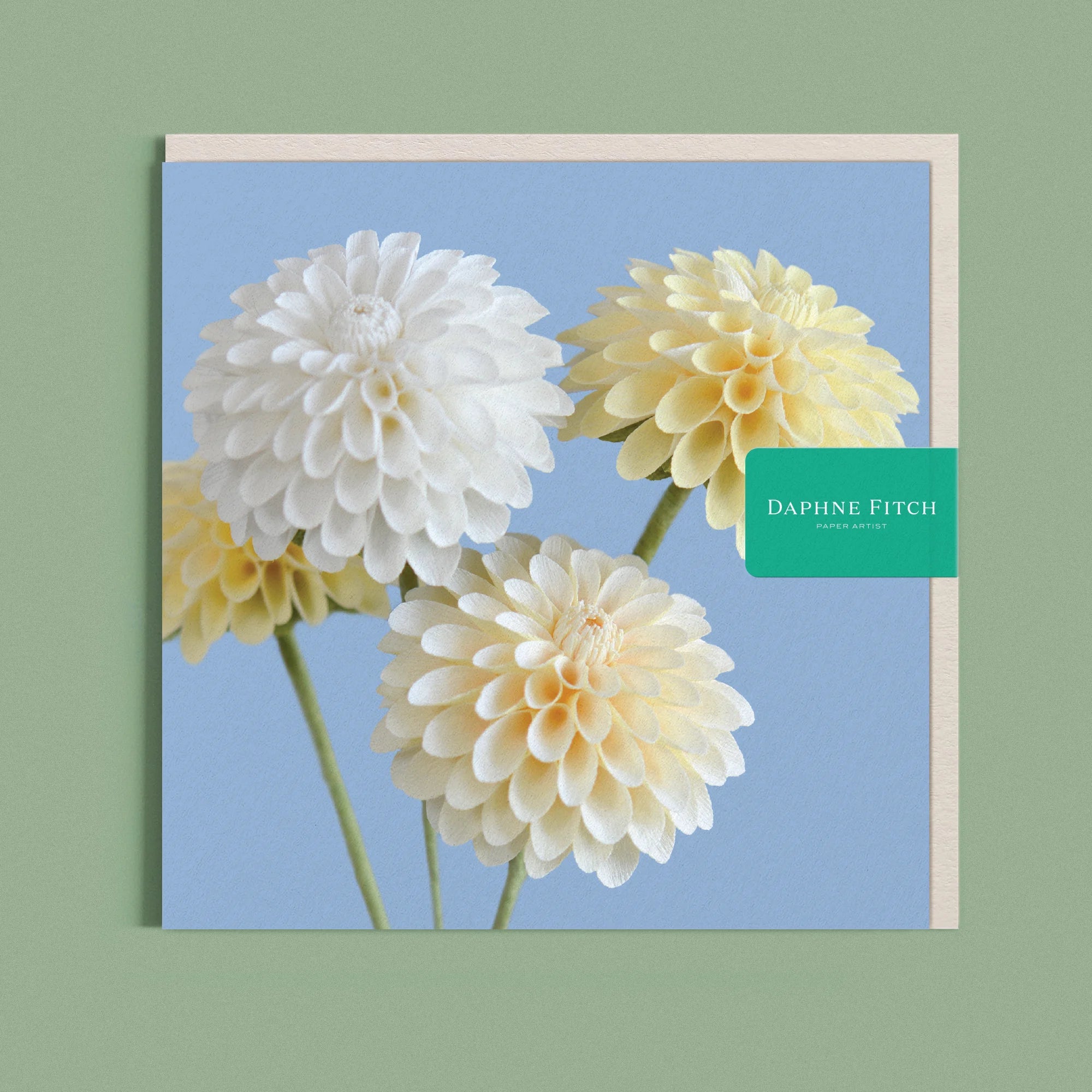 Greeting card with a image of a handcrafted paper Dahlia White and Cream pompom on a light cerulean blue background by paper artist Daphne Fitch.
