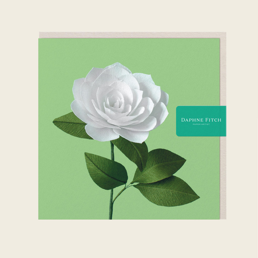 Daphne Fitch White Camellia Greetings Card