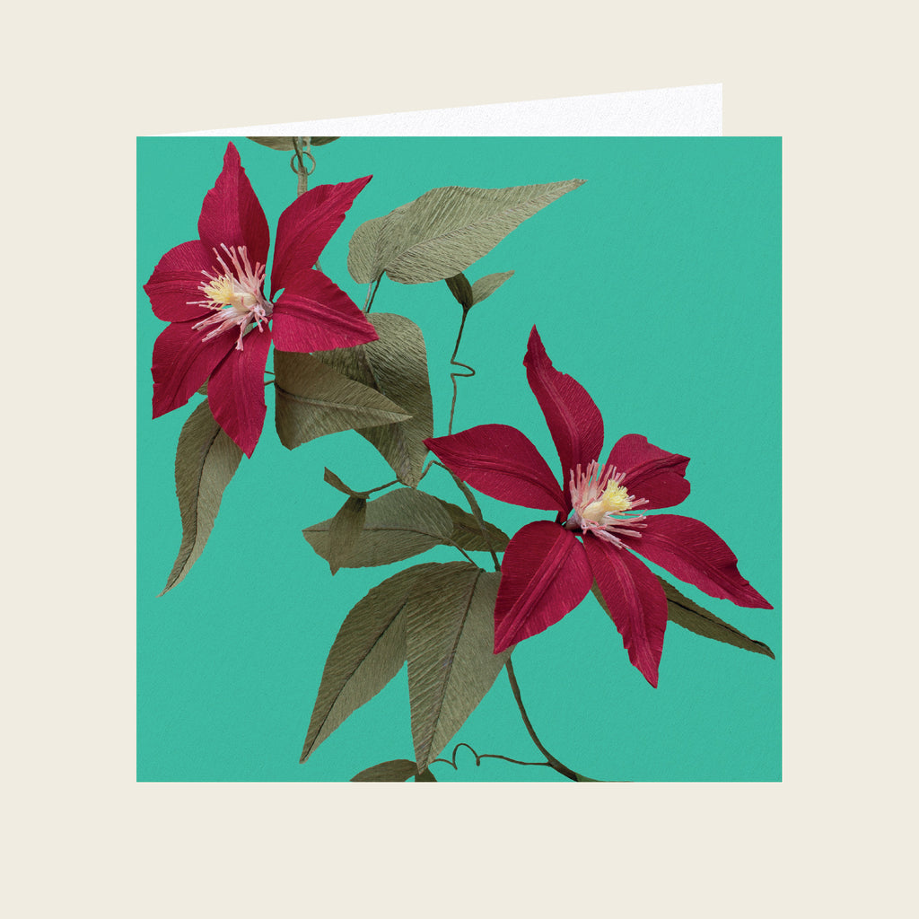 Daphne Fitch Garnet Red Clematis Greetings Card