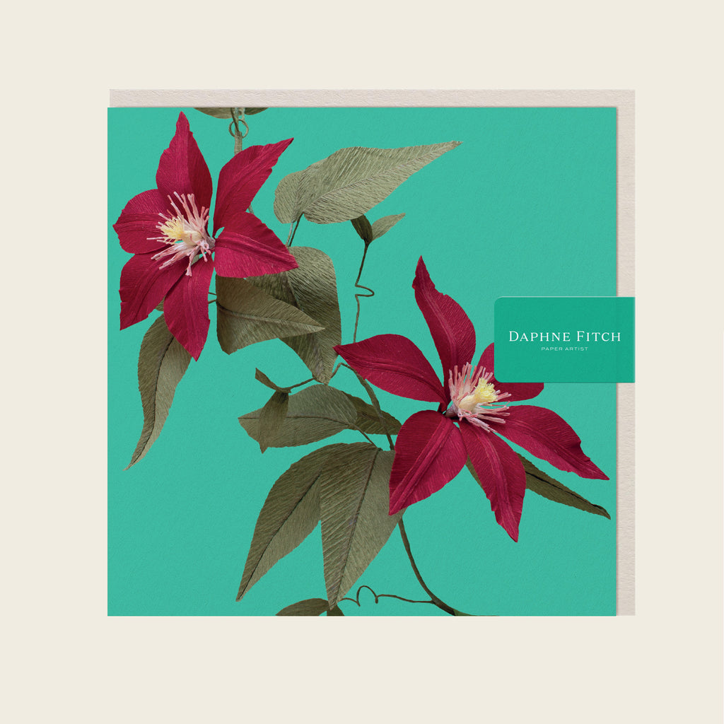 Daphne Fitch Garnet Red Clematis Greetings Card