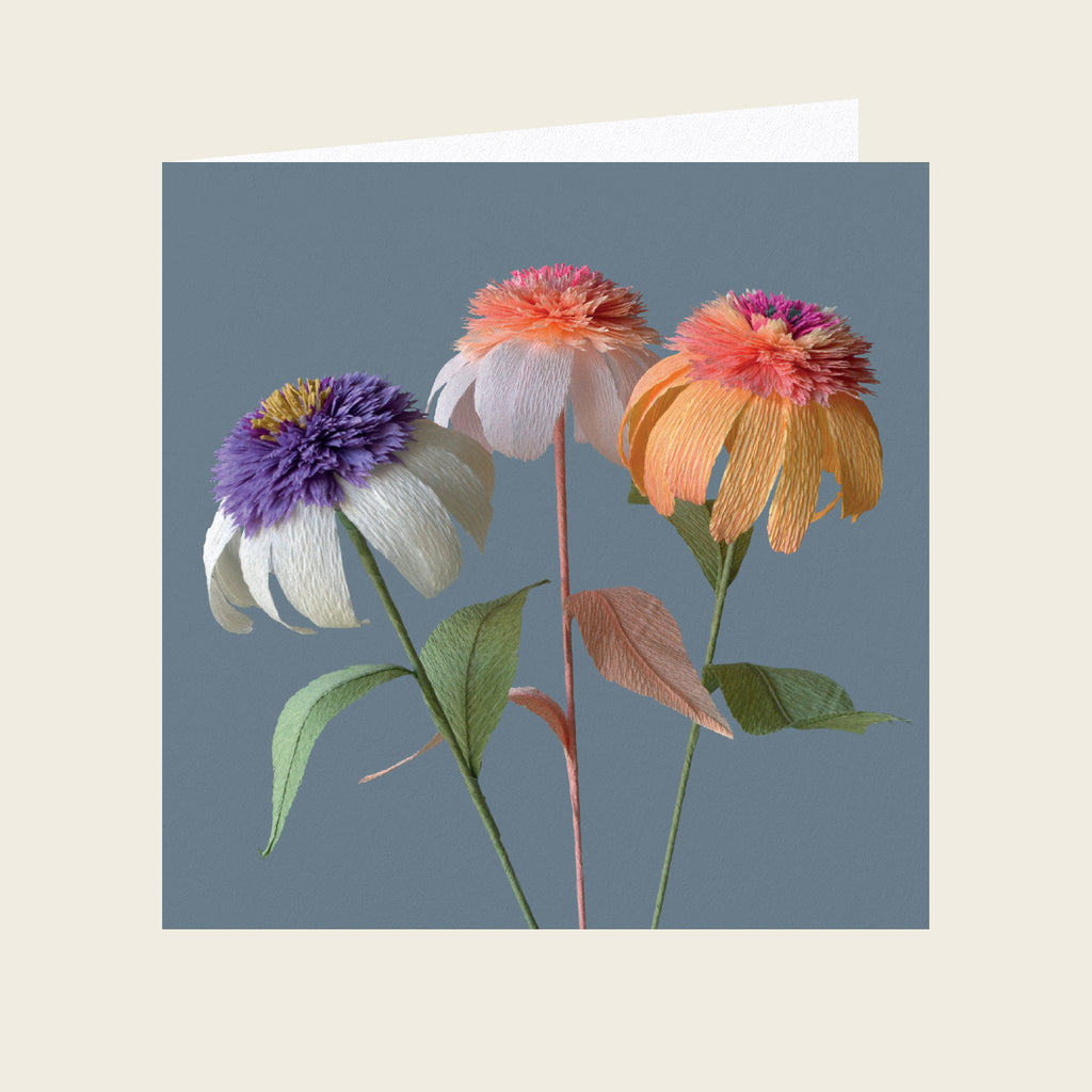 Daphne Fitch Echinacea Trio Greetings Card