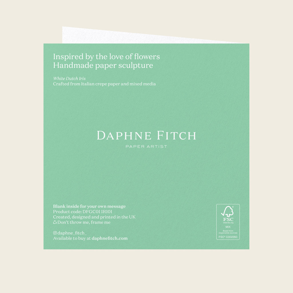 Daphne Fitch White Dutch Iris Greetings Card