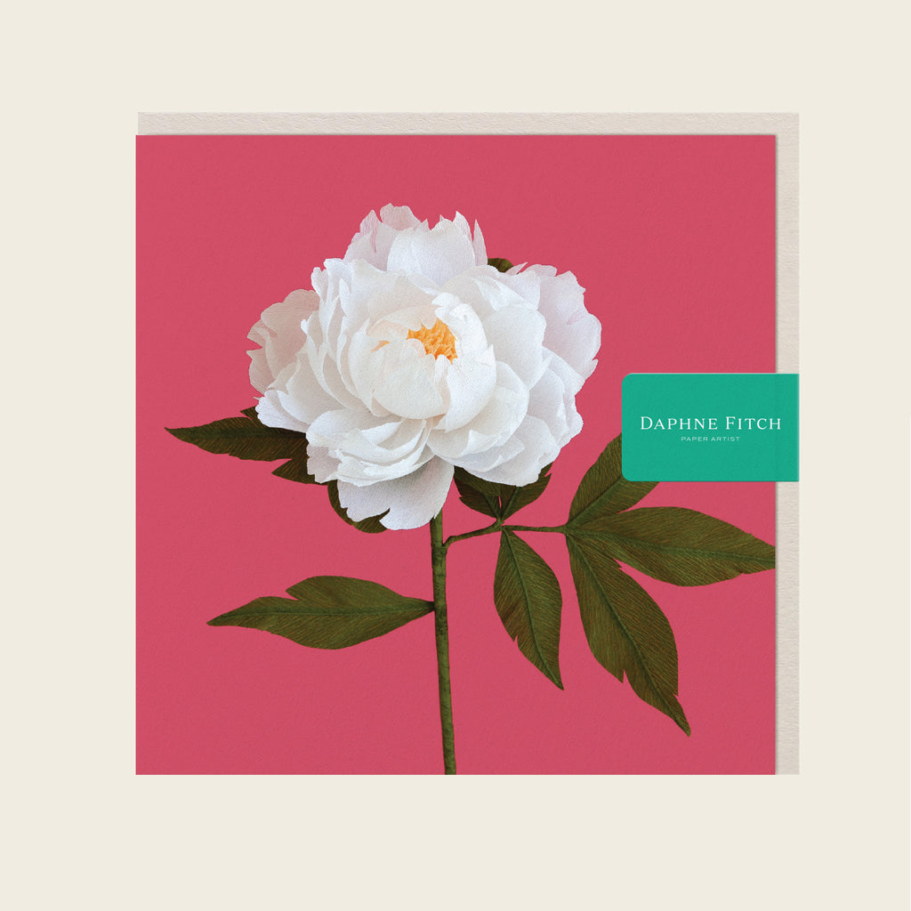 Daphne Fitch White Peony Greetings Card