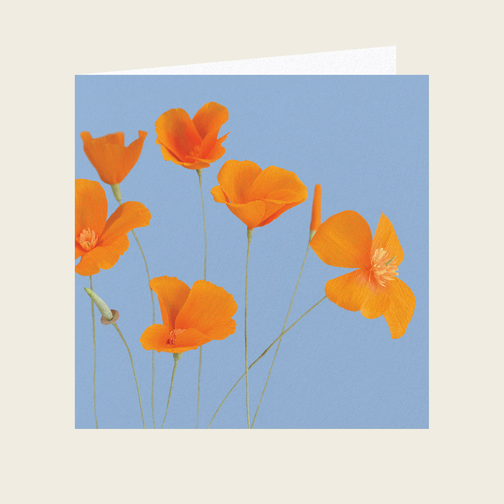 Daphne Fitch Californian Poppies Greetings Card