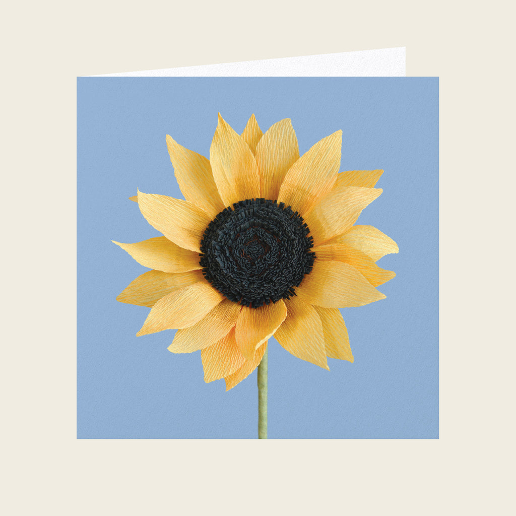 Daphne Fitch Giant Sunflower Head Greetings Card
